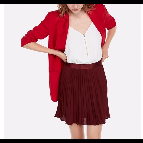 pleated skirt express